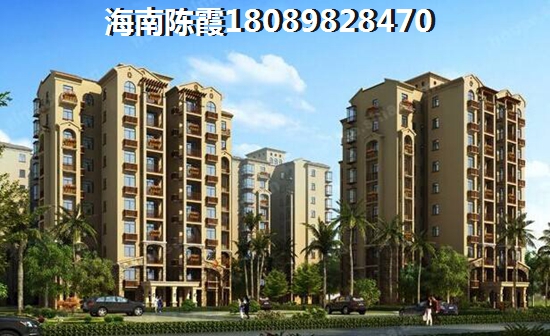 崇明岛 碧桂园十里外滩 一居  户型图