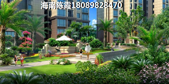 碧桂园枫丹酩悦 一居  户型图