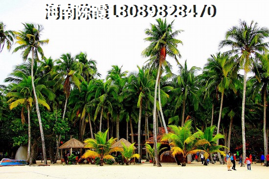 崇明岛•大爱城 三居  户型图