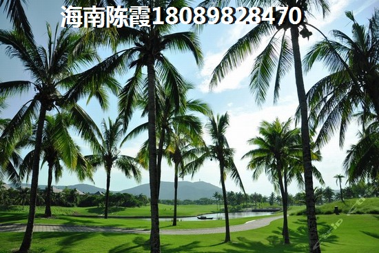 崇明岛 碧桂园十里外滩 建筑规划 